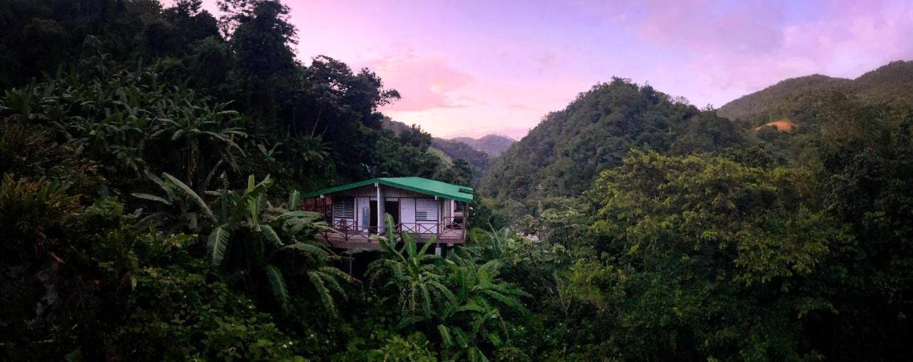 Casa Grande Mountain Retreat - Adults Only Hotel Utuado Exterior photo