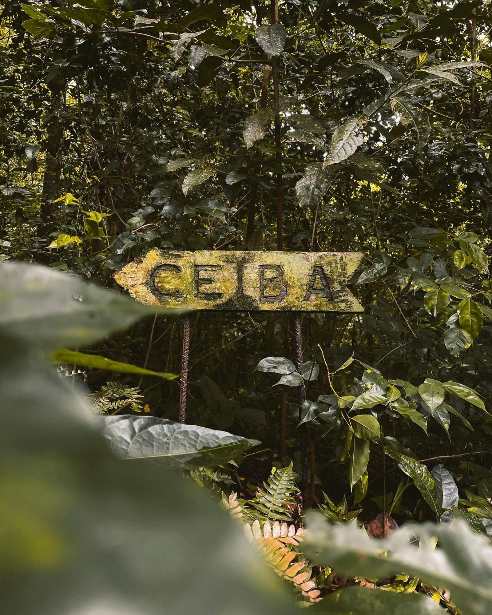 Casa Grande Mountain Retreat - Adults Only Hotel Utuado Exterior photo